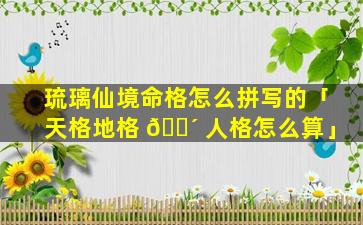 琉璃仙境命格怎么拼写的「天格地格 🐴 人格怎么算」